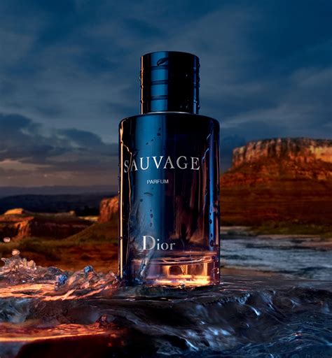 salvage by dior|Dior sauvage best price.